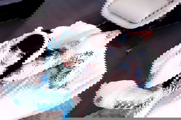 iamm3dusa image ~ Altpins