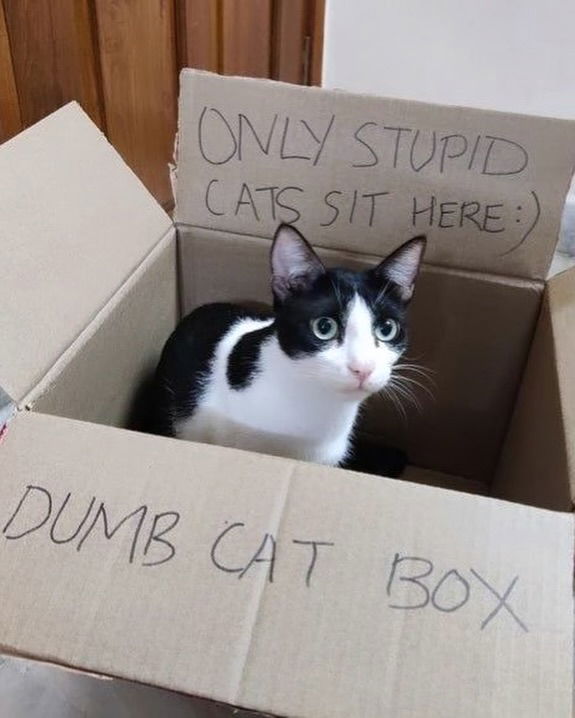 iamm3dusa instagram image archive image