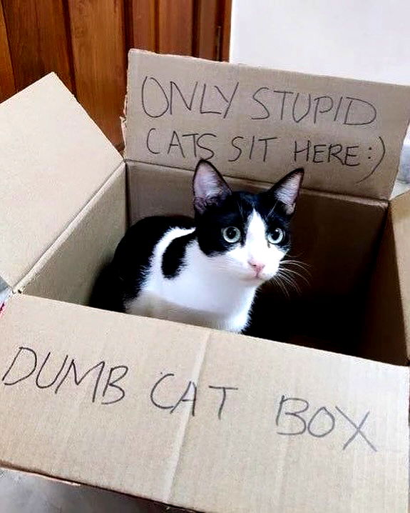 iamm3dusa image ~ Altpins