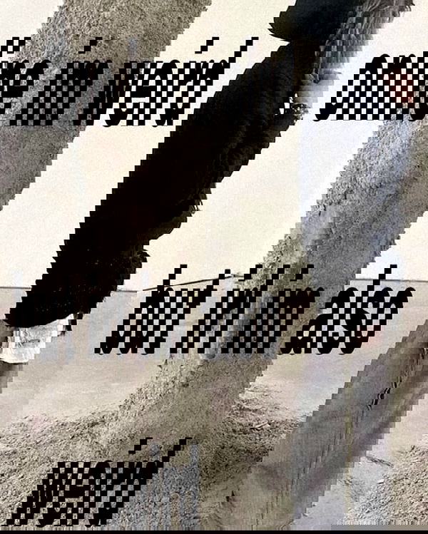 iamm3dusa image ~ Altpins