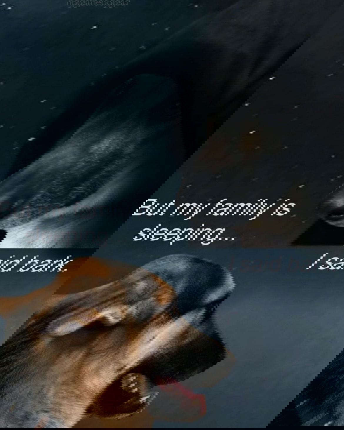 iamm3dusa instagram image archive image