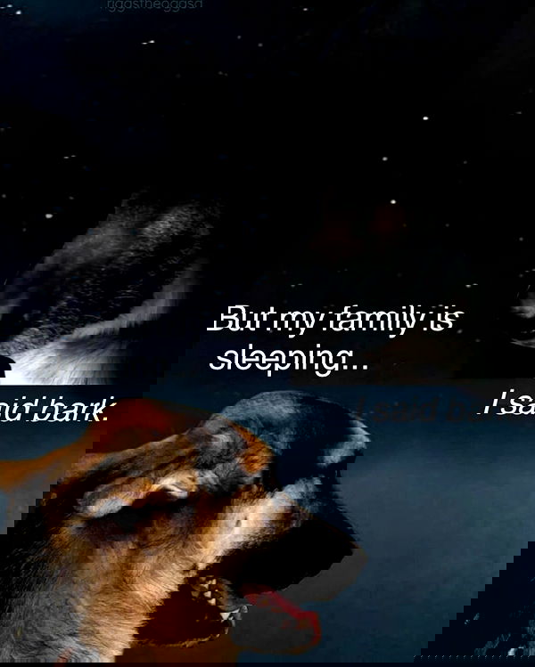 iamm3dusa image ~ Altpins