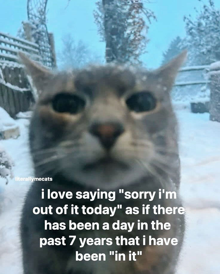 iamm3dusa instagram image archive image