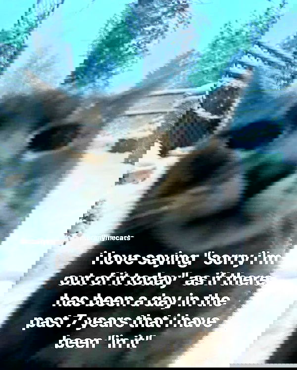 iamm3dusa image ~ Altpins