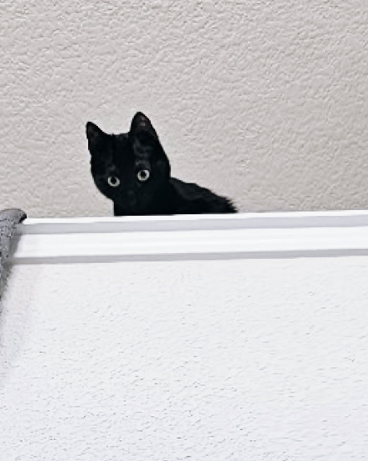 iamm3dusa instagram image archive image