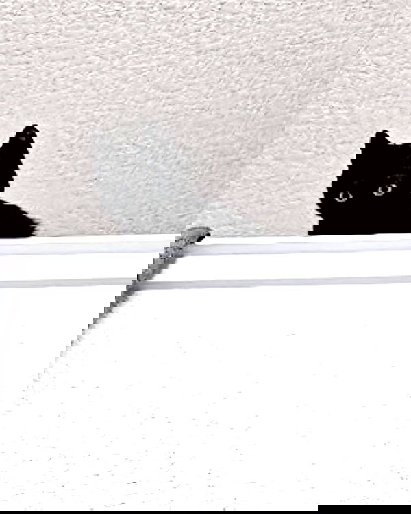 iamm3dusa image ~ Altpins