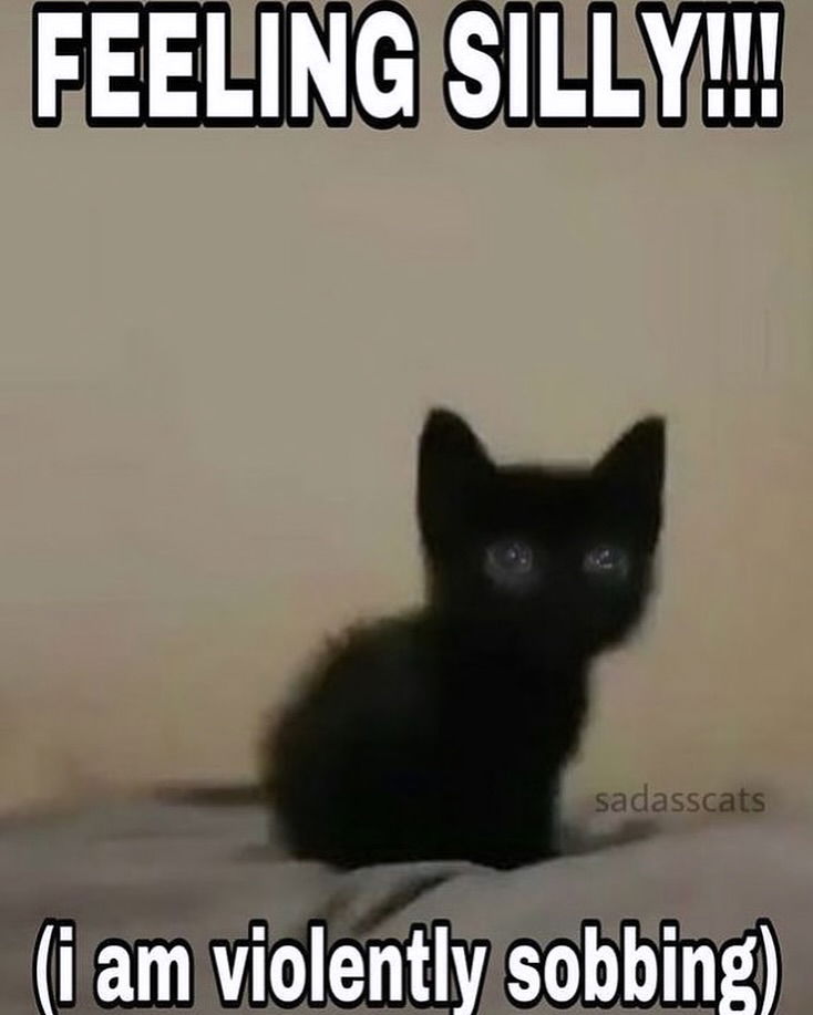 iamm3dusa instagram image archive image