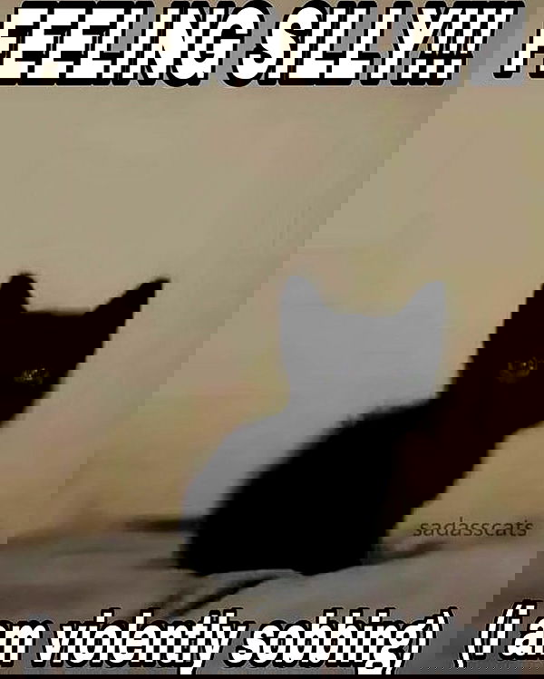 iamm3dusa image ~ Altpins