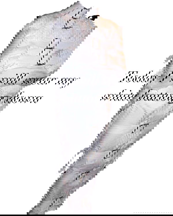 iamm3dusa image ~ Altpins