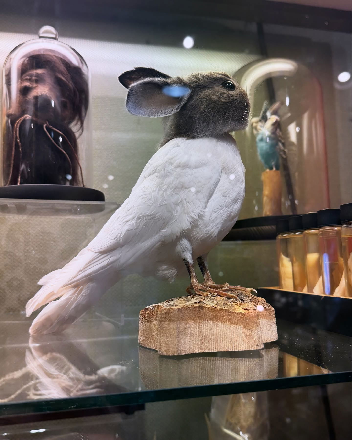 iamm3dusa instagram image archive image