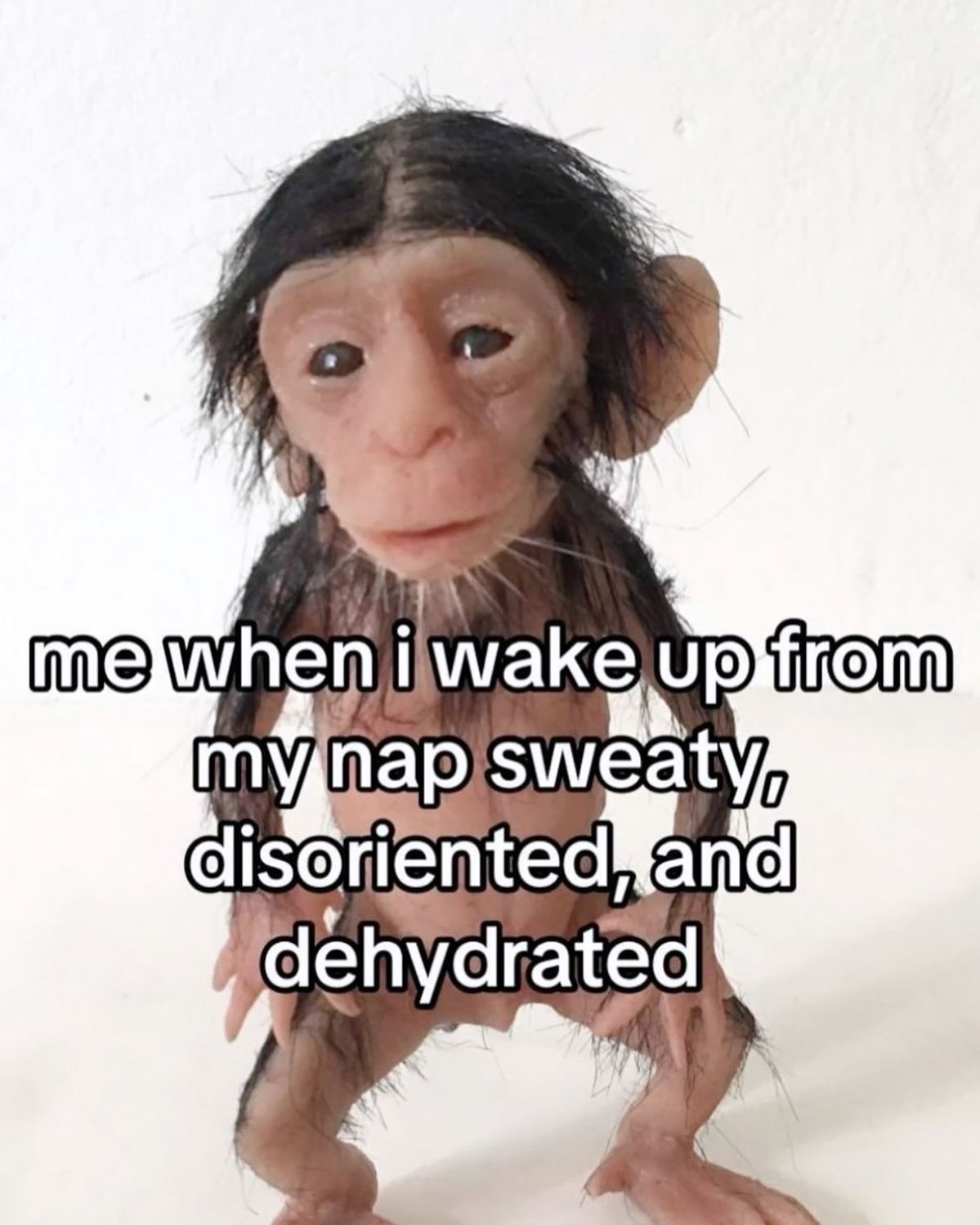 iamm3dusa instagram image archive image