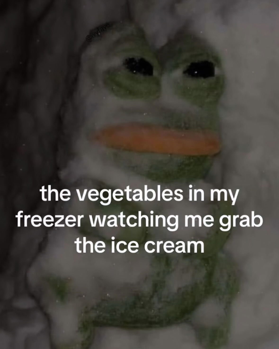 iamm3dusa instagram image archive image