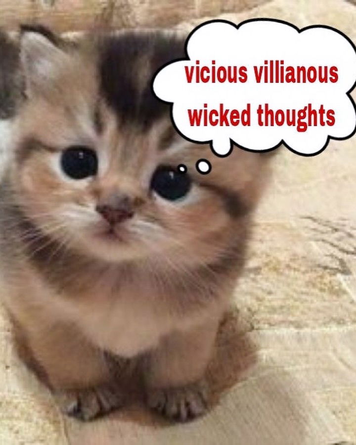 iamm3dusa instagram image archive image