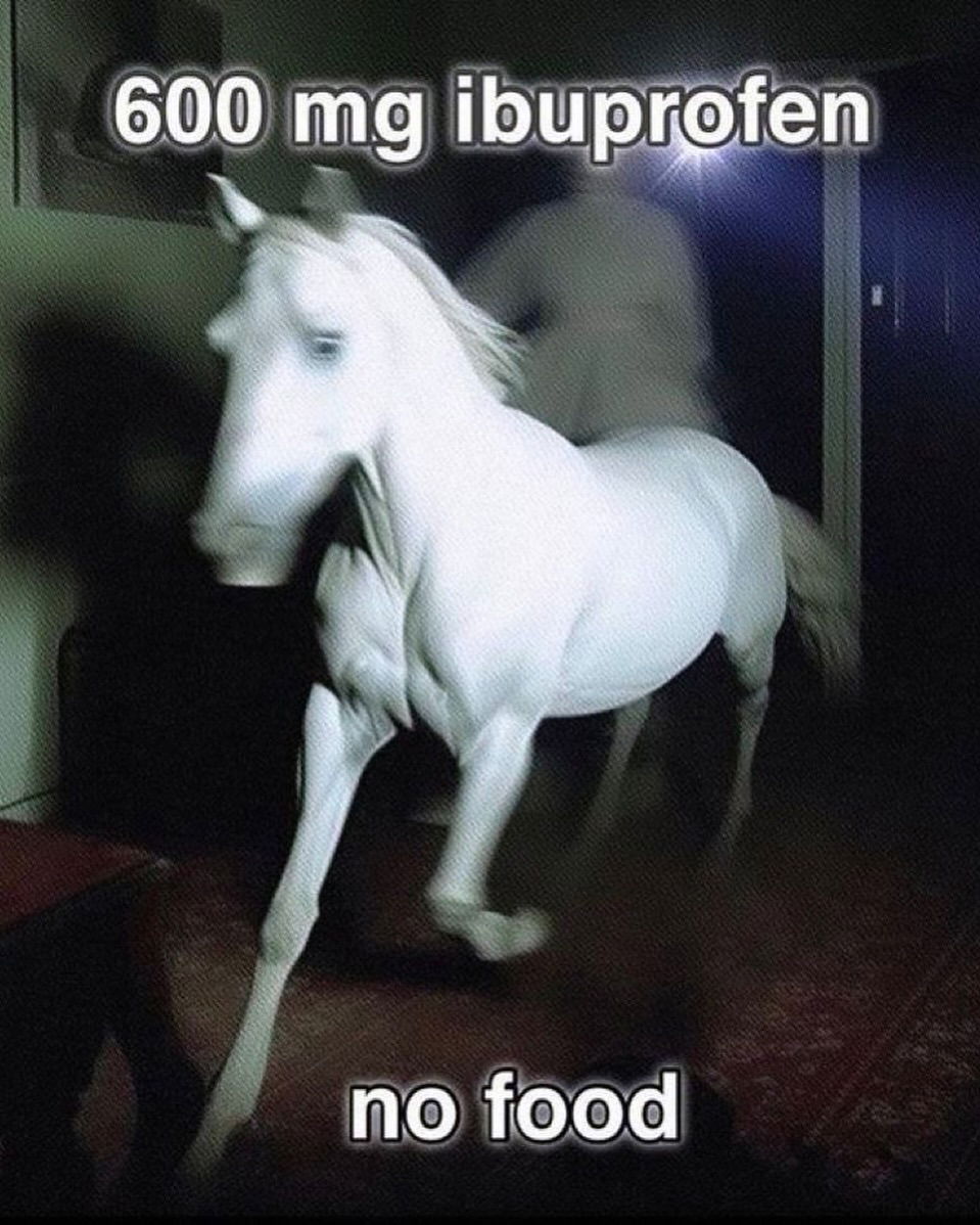 iamm3dusa instagram image archive image