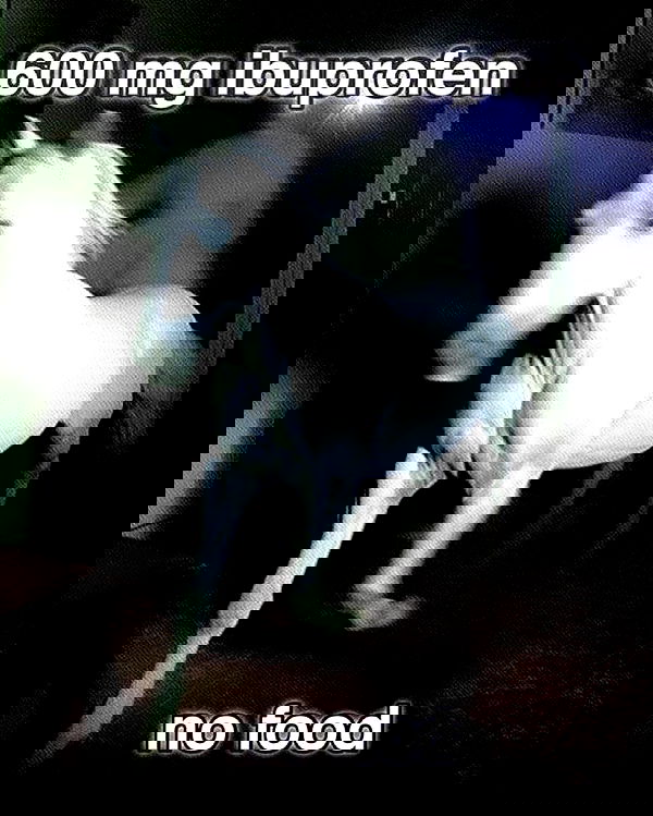 iamm3dusa image ~ Altpins