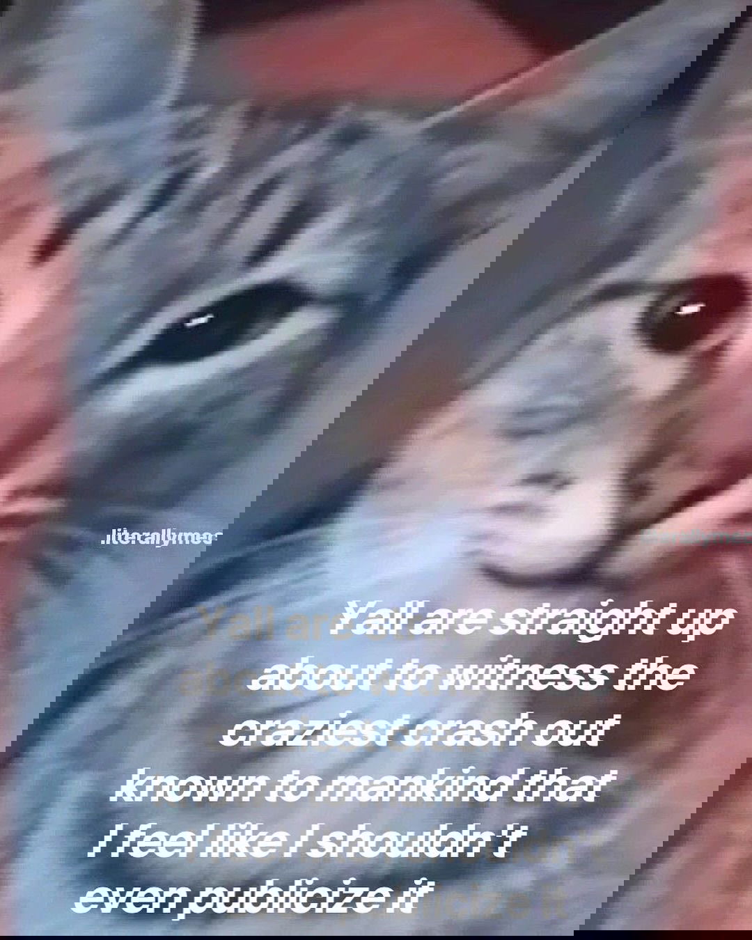 iamm3dusa instagram image archive image