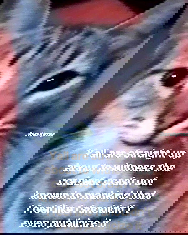 iamm3dusa image ~ Altpins