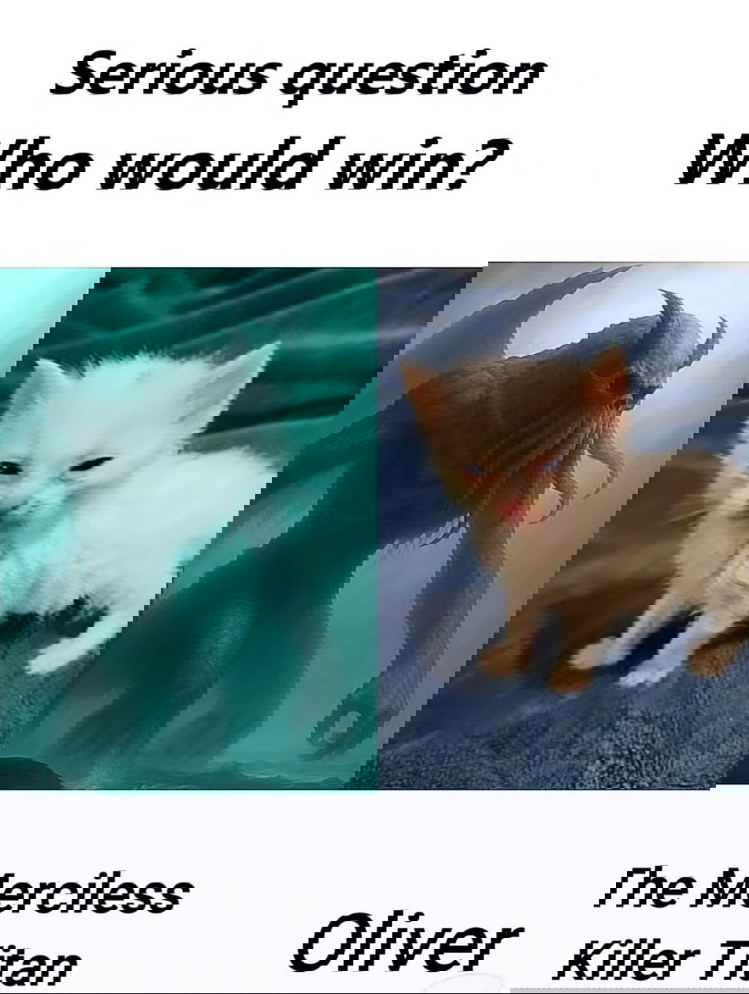 iamm3dusa instagram image archive image