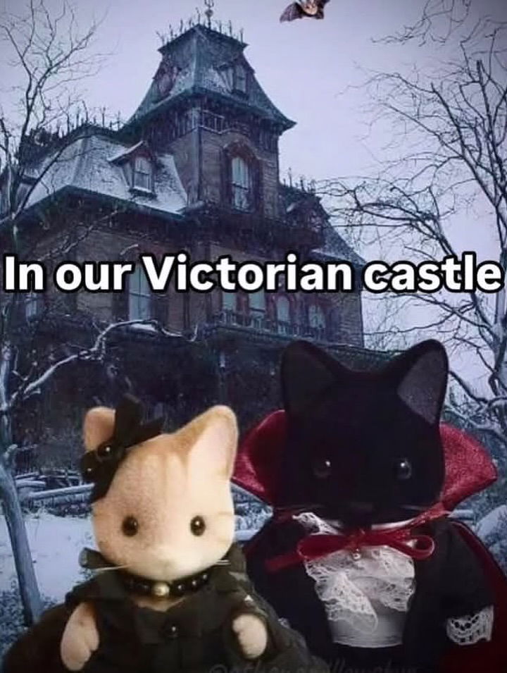 iamm3dusa instagram image archive image