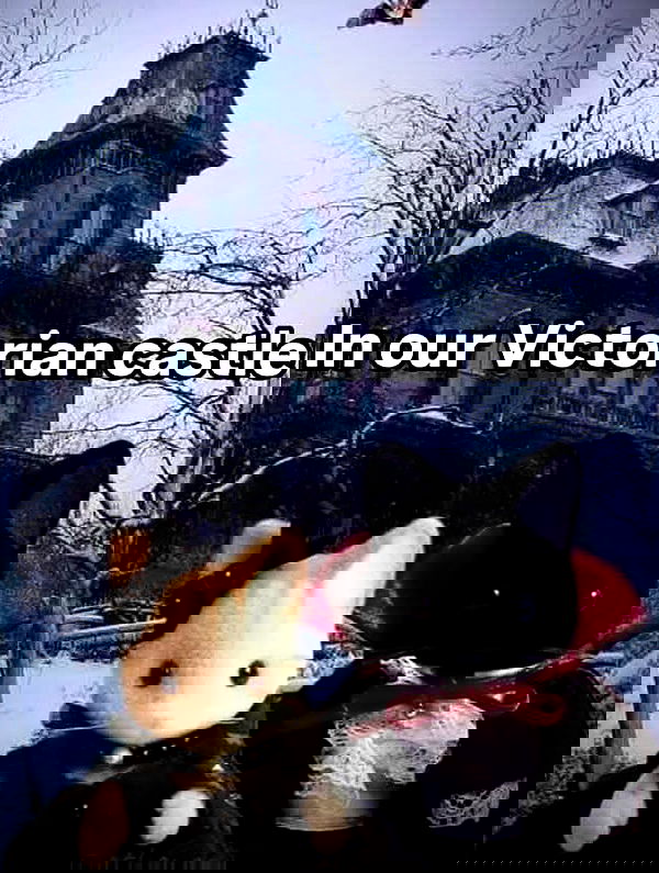 iamm3dusa image ~ Altpins