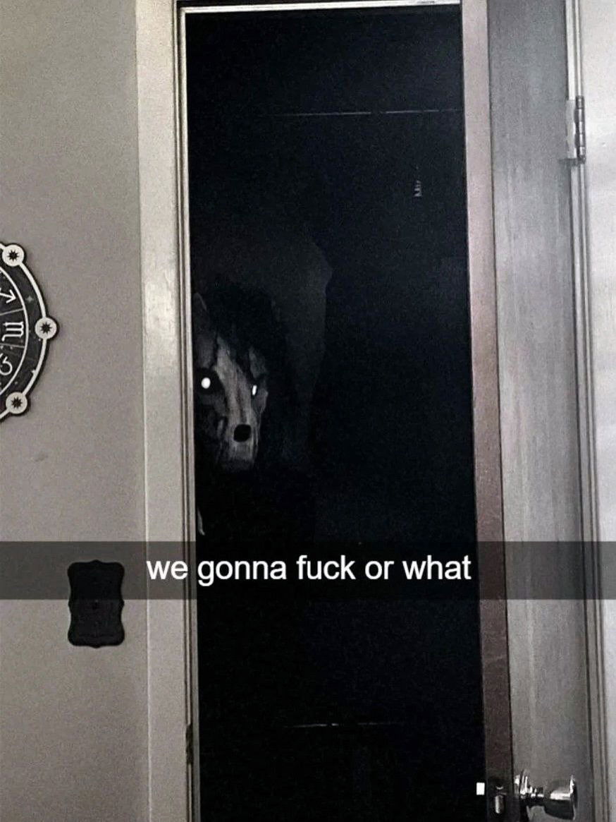 iamm3dusa instagram image archive image