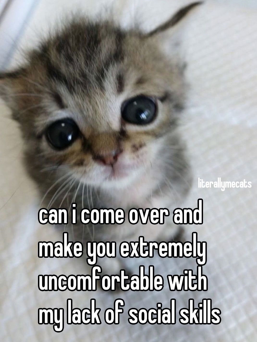 iamm3dusa instagram image archive image