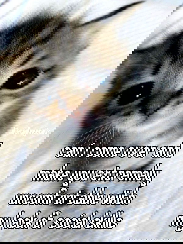 iamm3dusa image ~ Altpins