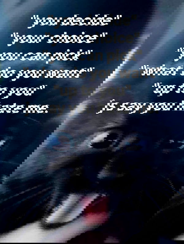 iamm3dusa image ~ Altpins