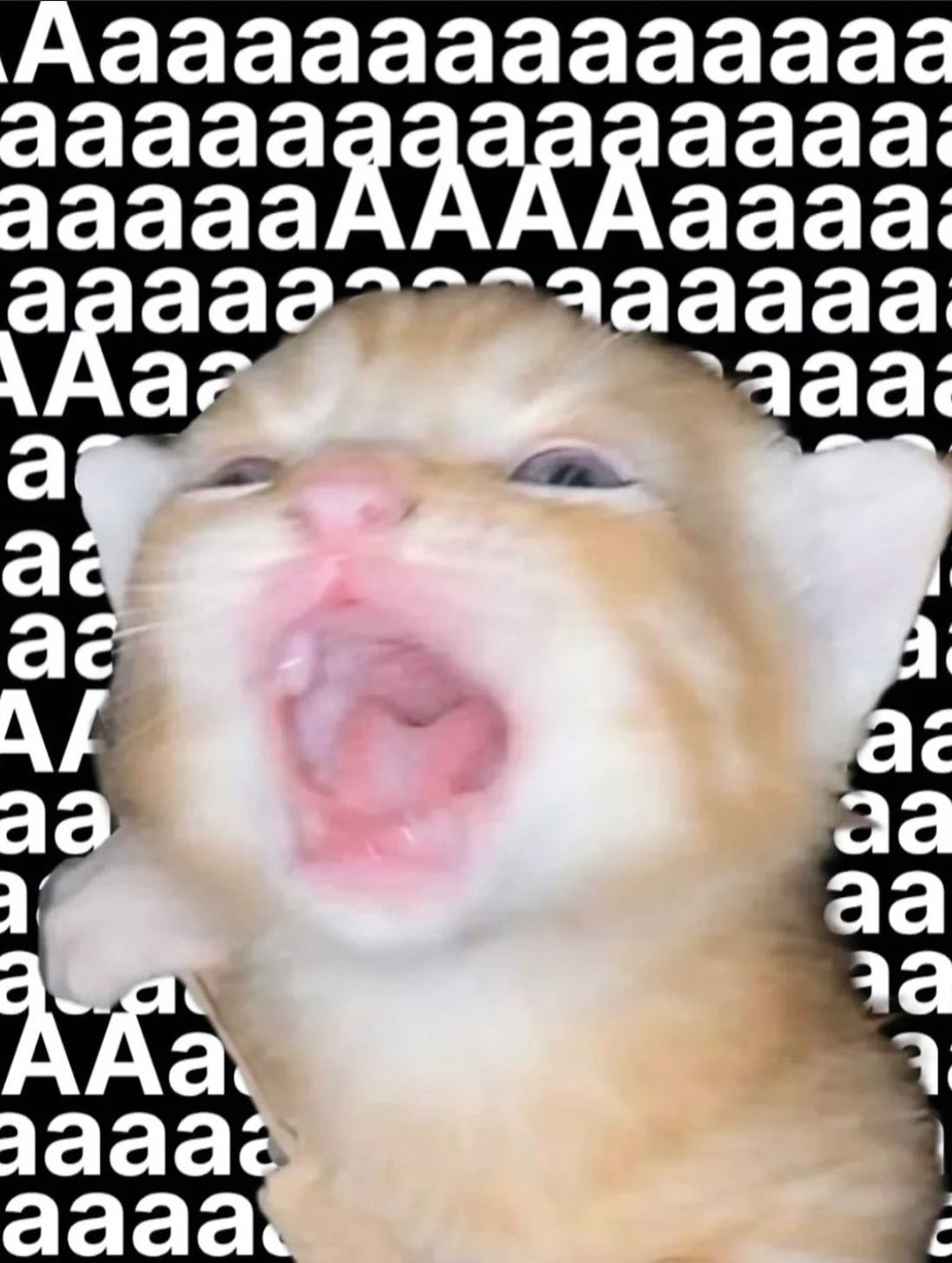 iamm3dusa instagram image archive image