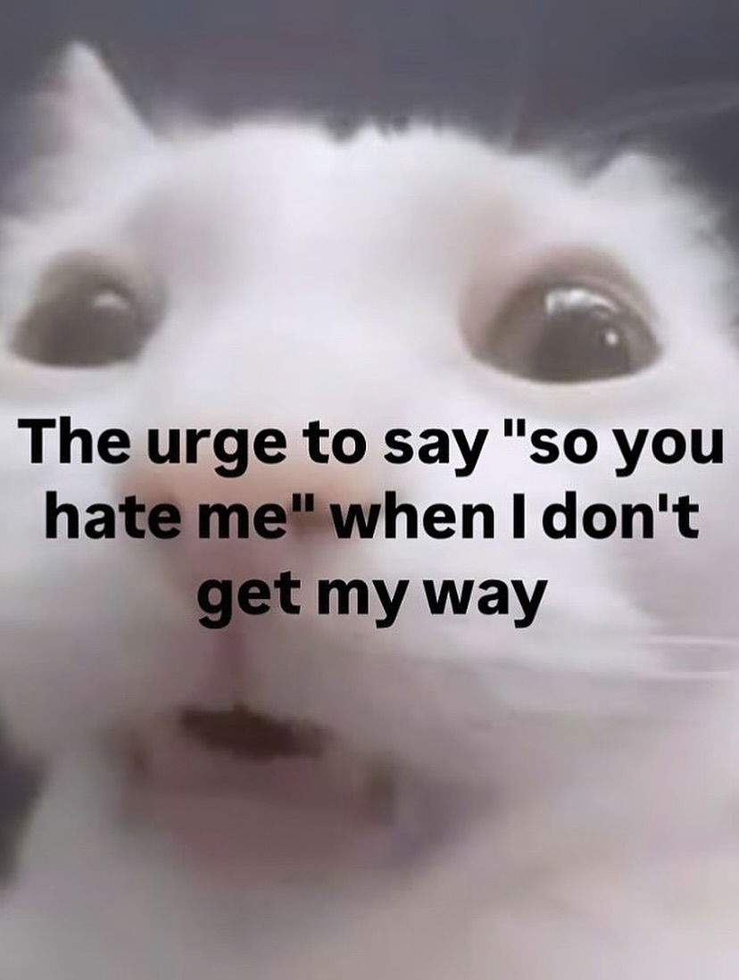 iamm3dusa instagram image archive image