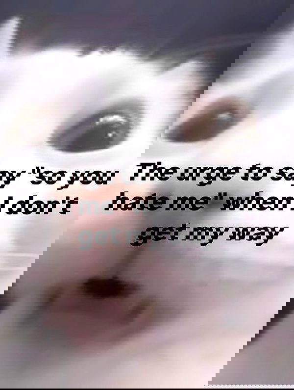 iamm3dusa image ~ Altpins