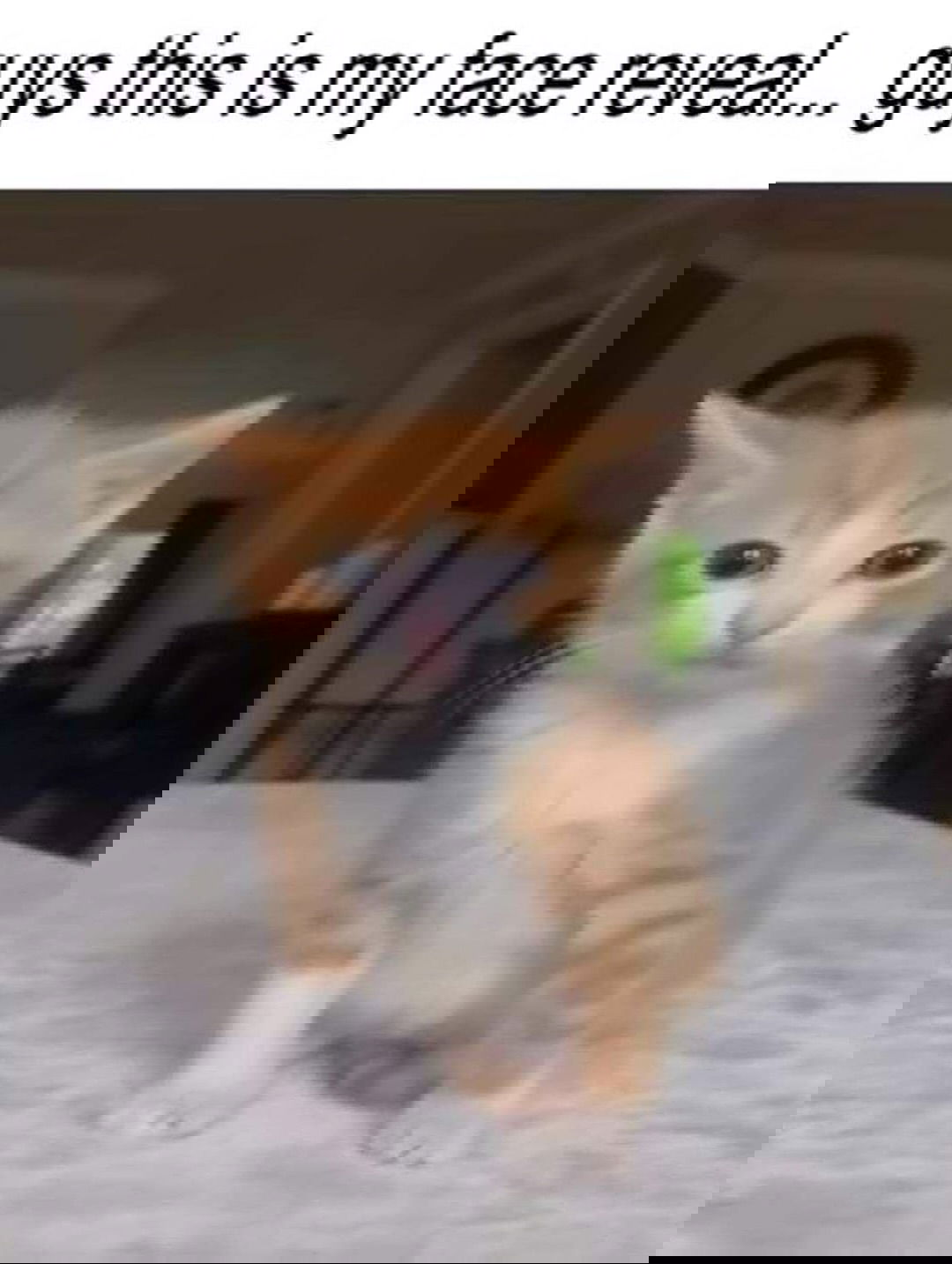 iamm3dusa instagram image archive image