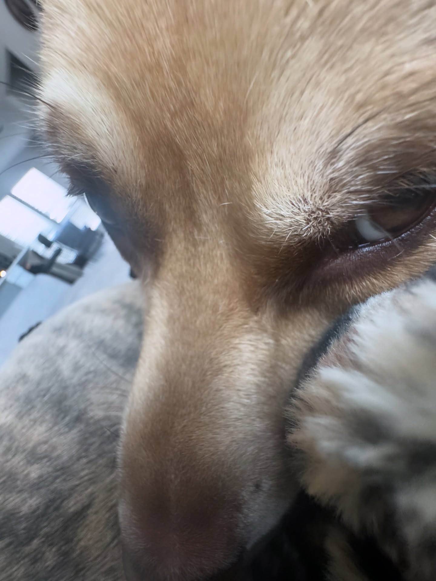 iamm3dusa instagram image archive image