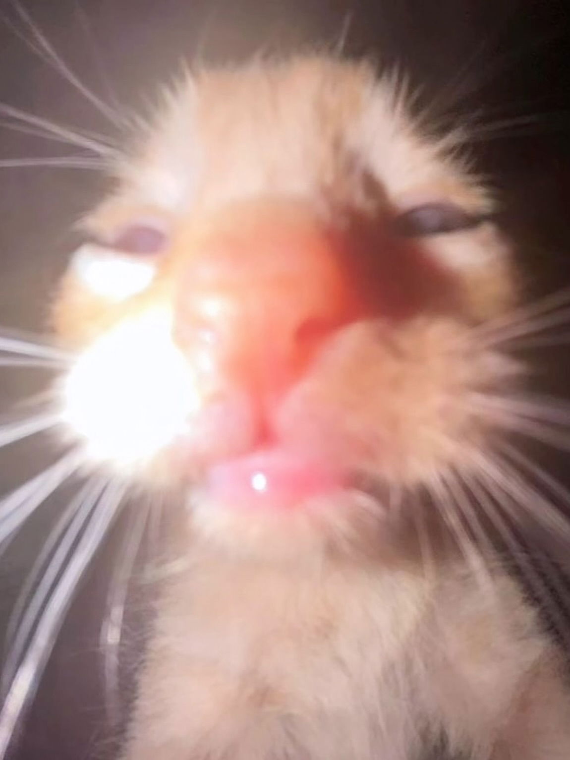 iamm3dusa instagram image archive image