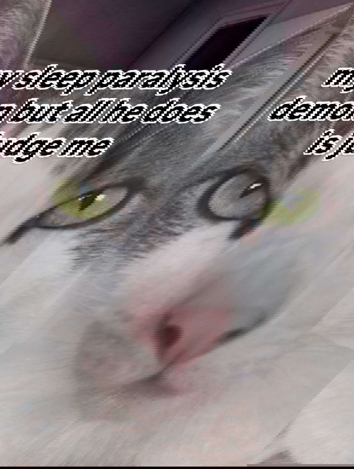 iamm3dusa instagram image archive image