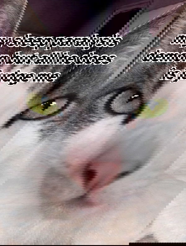 iamm3dusa image ~ Altpins