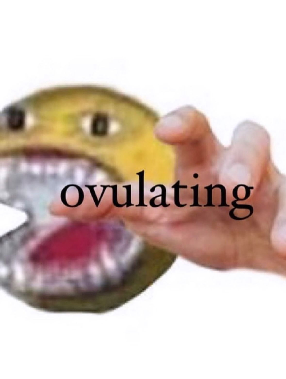 iamm3dusa instagram image archive image