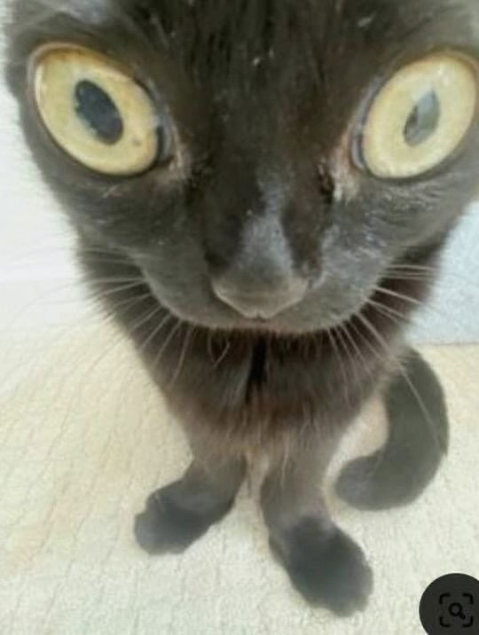 iamm3dusa instagram image archive image