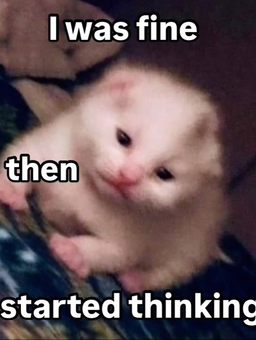 iamm3dusa instagram image archive image