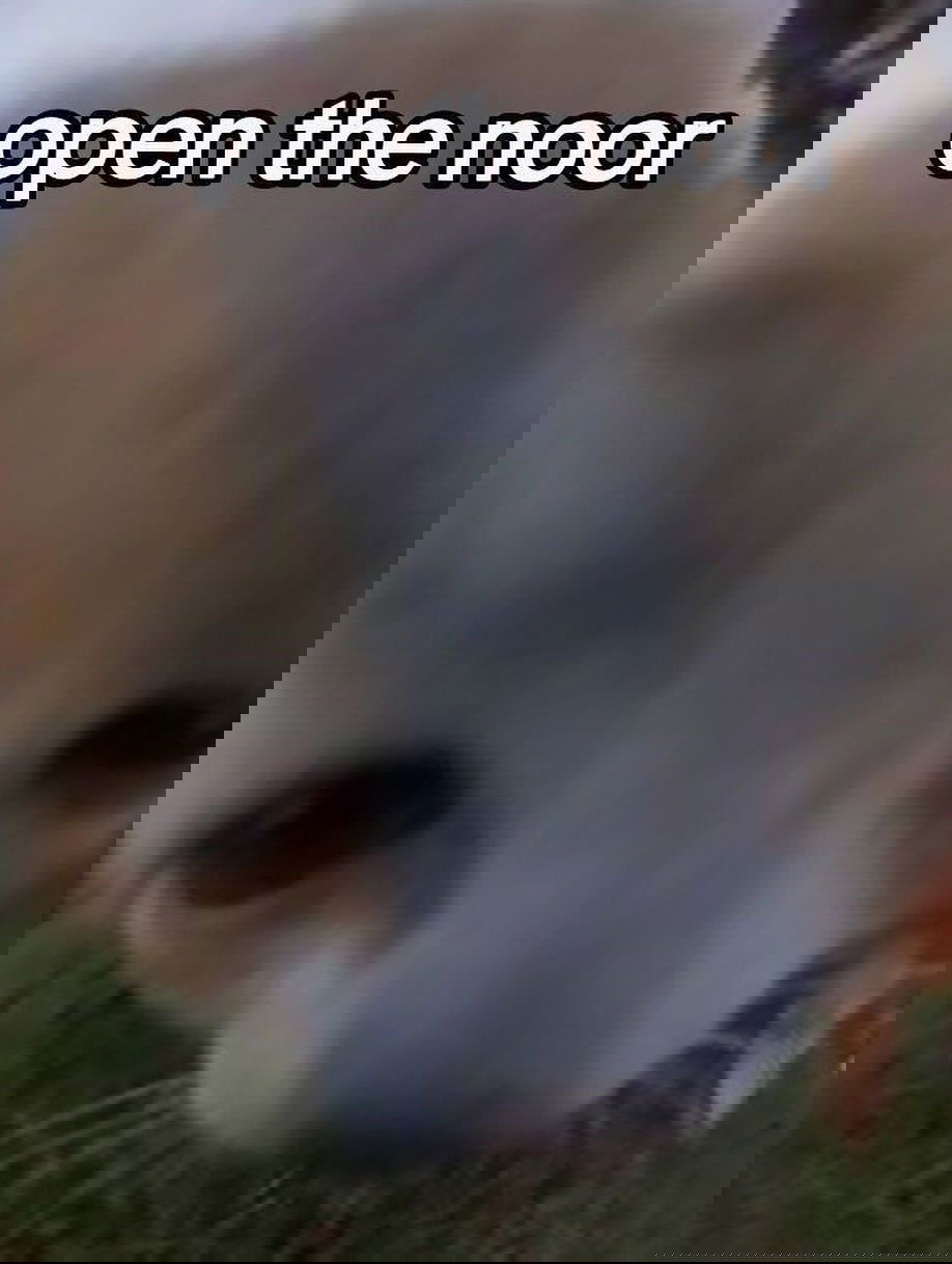 iamm3dusa instagram image archive image