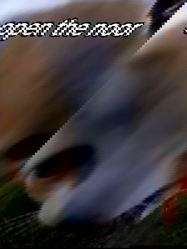 iamm3dusa image ~ Altpins