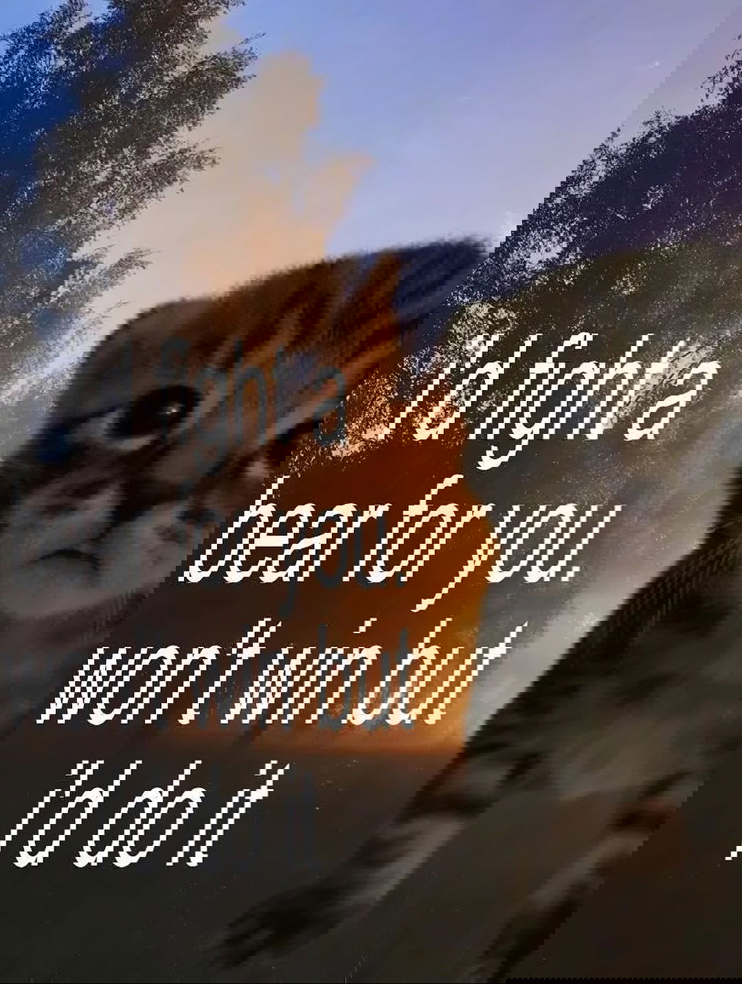 iamm3dusa instagram image archive image