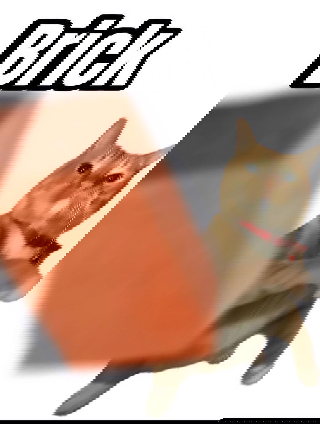 iamm3dusa instagram image archive image