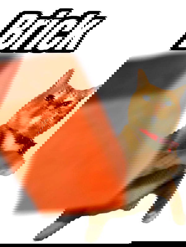 iamm3dusa image ~ Altpins