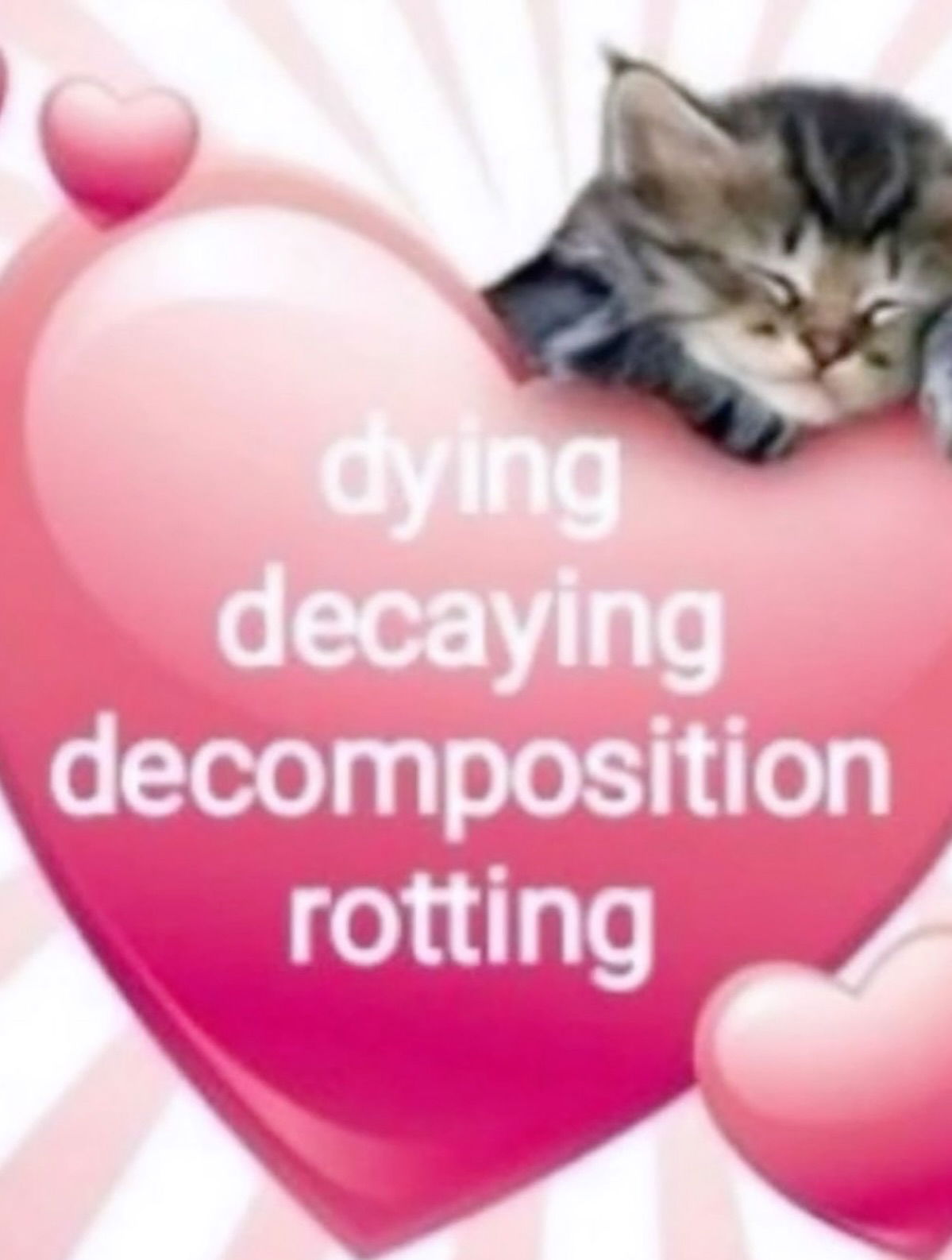 iamm3dusa instagram image archive image