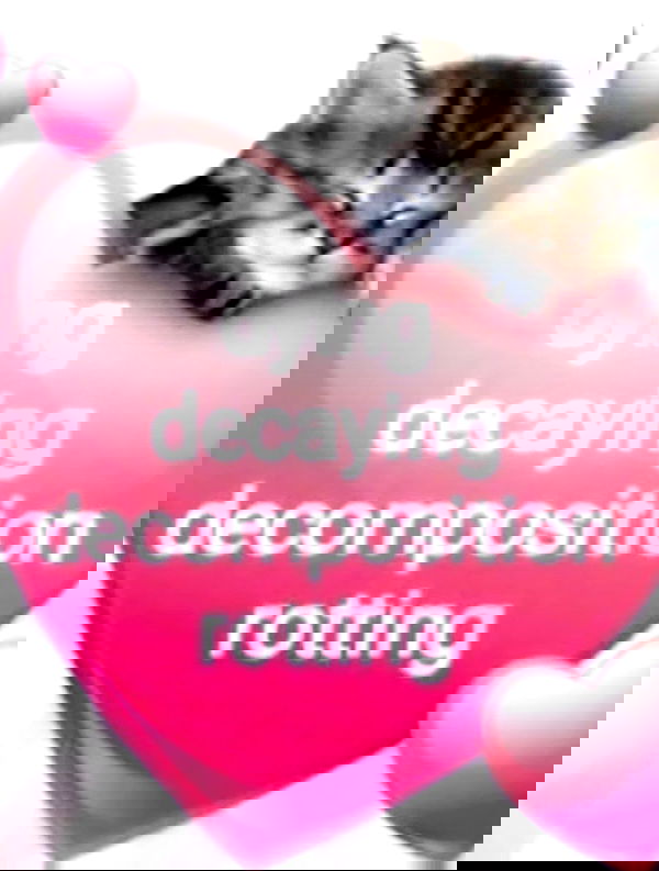 iamm3dusa image ~ Altpins