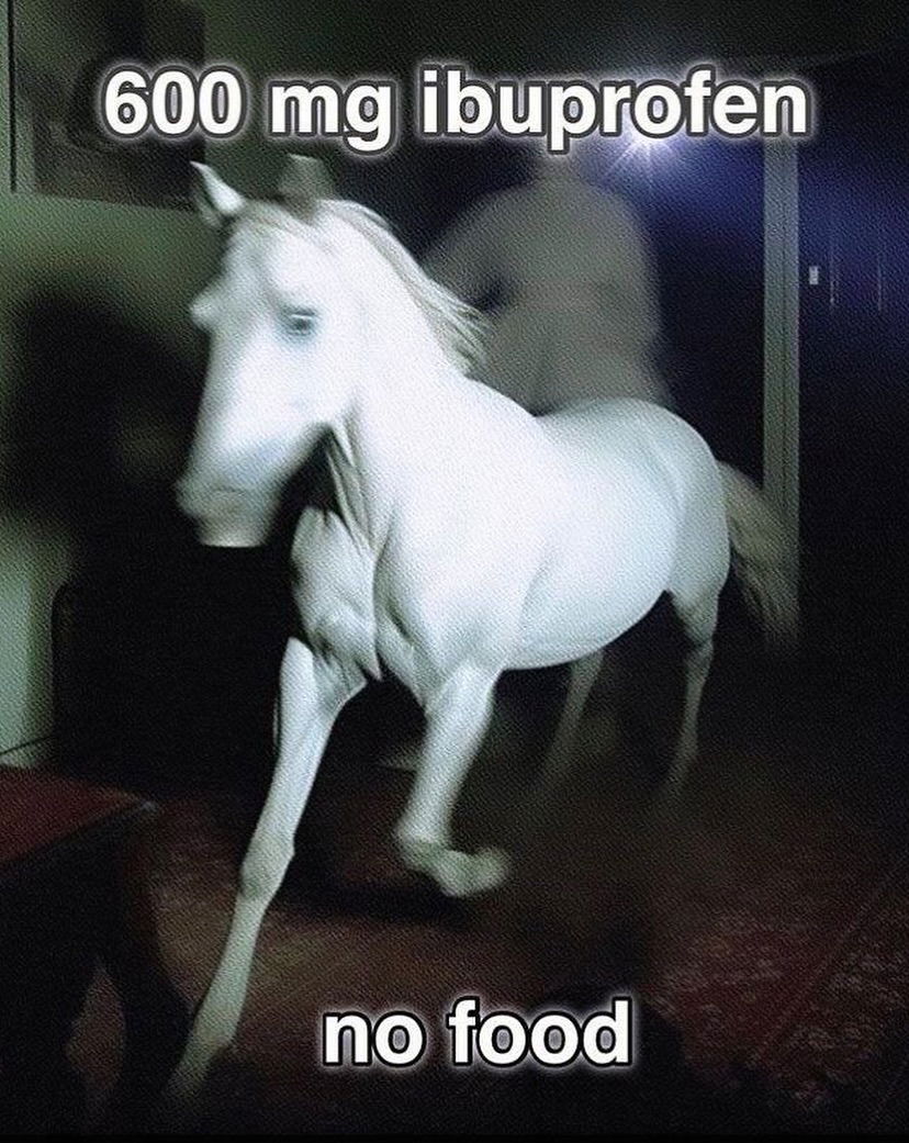 iamm3dusa instagram image archive image