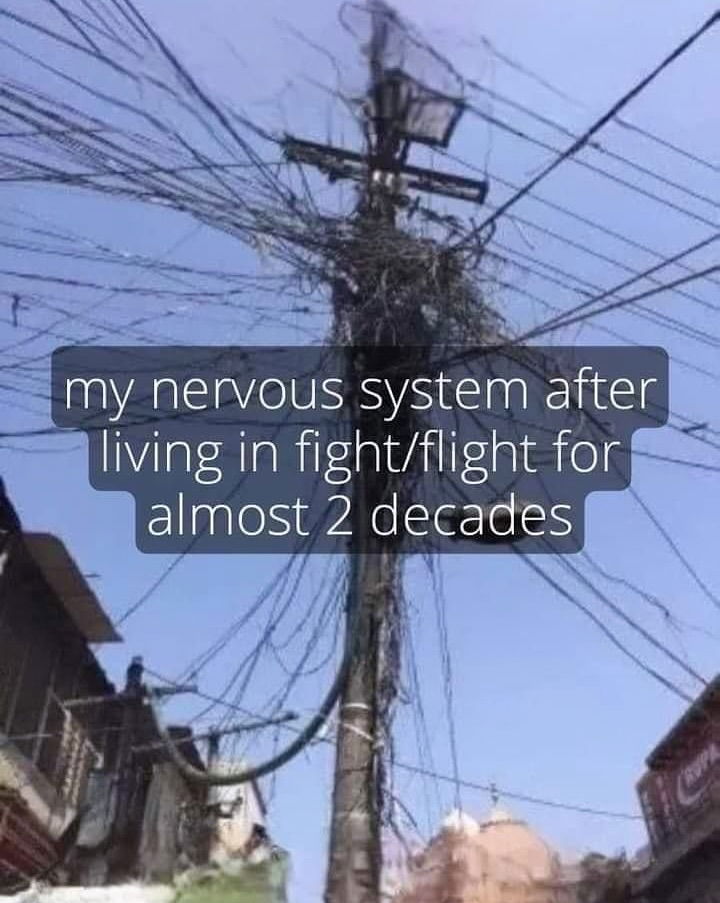 iamm3dusa instagram image archive image