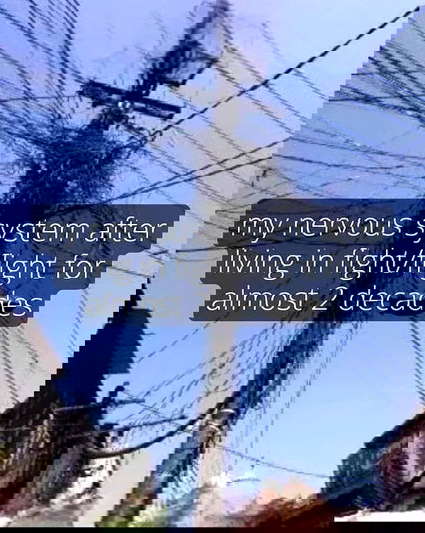 iamm3dusa image ~ Altpins