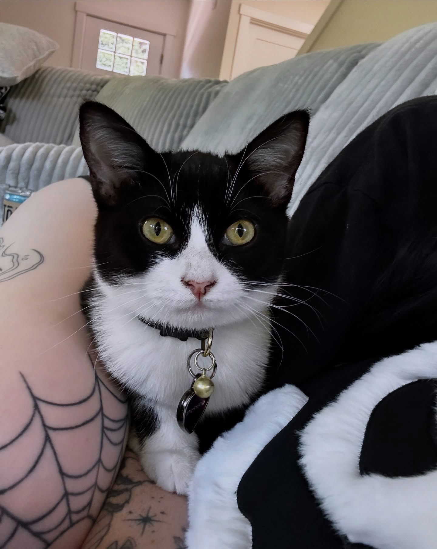 iamm3dusa instagram image archive image